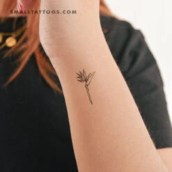 Strelitzia Bird Of Paradise Temporary Tattoo (Set Of 3)