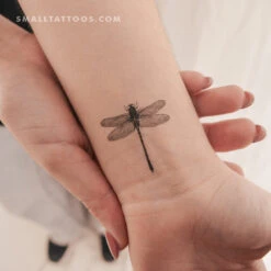 Illustrative Dragonfly Temporary Tattoo (Set Of 3)
