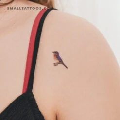 Eastern Bluebird Temporary Tattoo (Set Of 3)