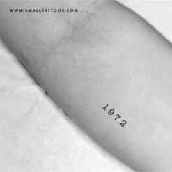 1972 Birth Year Temporary Tattoo (Set Of 3) -Da Vinci Shop 1972 birth year tatteco tt