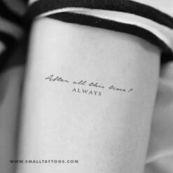 After All This Time? Always Temporary Tattoo (Set Of 3) -Da Vinci Shop after all this time always st tt