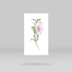 Camellia Temporary Tattoo By Mini Lau (Set Of 3) -Da Vinci Shop camellia mini lau temporary tattoo 3125124d 8bbf 4bd7 b344 4038fa642f2b