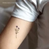 Cornflower Temporary Tattoo By Zihee (Set Of 3) -Da Vinci Shop cornflower temporary tattoo zihee