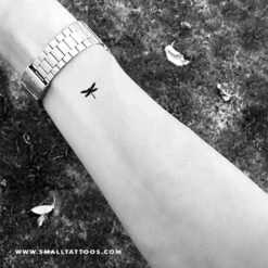 Little Dragonfly Temporary Tattoo (Set Of 3) -Da Vinci Shop dragonfly