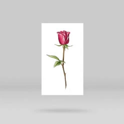 Garnet Rose Temporary Tattoo By Mini Lau (Set Of 3) -Da Vinci Shop garnet rose tattoo