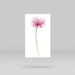 Hibiscus Temporary Tattoo By Mini Lau (Set Of 3) -Da Vinci Shop hibiscus temporary tattoo c261efc4 5b19 4499 87ba 26c14d870267