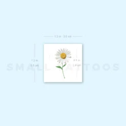 Small Daisy Temporary Tattoo (Set Of 3) -Da Vinci Shop image1 st 750px 144ffab4 3d1f 4253 98a2 05e302169486