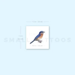 Eastern Bluebird Temporary Tattoo (Set Of 3) -Da Vinci Shop image1 st 750px 1a21c198 2f65 4a17 a5ce 18cc2df2d0ec