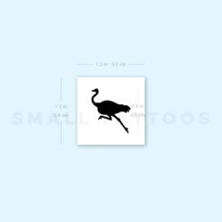 Ostrich Temporary Tattoo (Set Of 3) -Da Vinci Shop image1 st 750px 50c4e22c 304f 40b3 b705 3b95a3027454