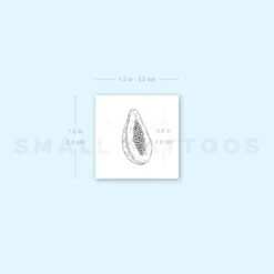 Papaya Temporary Tattoo (Set Of 3) -Da Vinci Shop image1 st 750px 53e63762 0287 4c6d 8f67 d27c3a1c0013