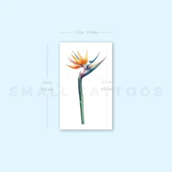 Watercolor Bird Of Paradise Temporary Tattoo (Set Of 3) -Da Vinci Shop image1 st 750px 5b2357c4 1b02 43fb 9707 20a2e2accf09