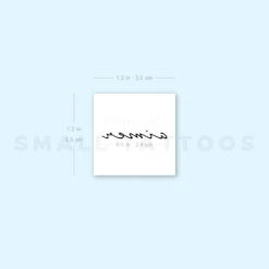 Aimer Temporary Tattoo (Set Of 3) -Da Vinci Shop image1 st 750px 682f5927 3e38 4060 80c7 24dbf1d9d85e