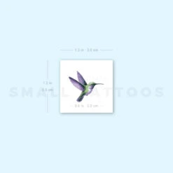 Watercolor Hummingbird Temporary Tattoo (Set Of 3) -Da Vinci Shop image1 st 750px 74515a85 5b33 4fb5 8c24 39edf920e307