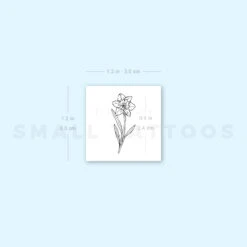 Narcissus Temporary Tattoo (Set Of 3) -Da Vinci Shop image1 st 750px 756e1fc5 7bbd 49d9 8507 37e12a7bfa5b