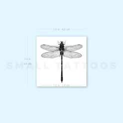 Illustrative Dragonfly Temporary Tattoo (Set Of 3) -Da Vinci Shop image1 st 750px 7e19eca5 271f 4bde acf3 578c9221c0f3