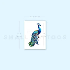 Peacock Temporary Tattoo (Set Of 3) -Da Vinci Shop image1 st 750px 8709aaa3 afcd 4b0e b2ee 6099e90549b6