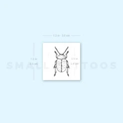 Beetle Temporary Tattoo (Set Of 3) -Da Vinci Shop image1 st 750px abbc9475 8ed9 46a5 84c3 d0432f1a8be6