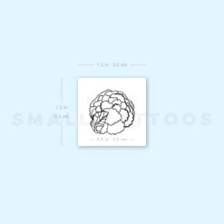 Cauliflower Temporary Tattoo (Set Of 3) -Da Vinci Shop image1 st 750px b15eaa15 e312 41c7 bb0f bb7d815244b4