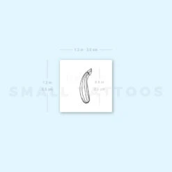 Zucchini Temporary Tattoo (Set Of 3) -Da Vinci Shop image1 st 750px ca8e0904 efee 47ad af72 bf2477248a6b