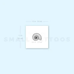 Ammonite Temporary Tattoo (Set Of 3) -Da Vinci Shop image1 st 750px efe9c690 8214 4232 8f0e 9b2e9d522426