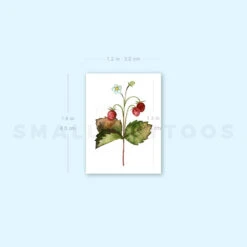 Small Wild Strawberries By Ann Lilya Temporary Tattoo (Set Of 3) -Da Vinci Shop image1 st 750px f8709e4b 08ec 49d9 b456 b26b3b69ed21