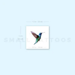 Realistic Hummingbird Temporary Tattoo (Set Of 3) -Da Vinci Shop image1 st 750px fe1c3d17 9323 4cc8 9c1d bb446c76d12e