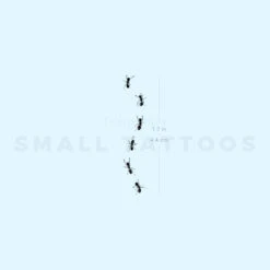 Ant Stock Temporary Tattoo (Set Of 3)
