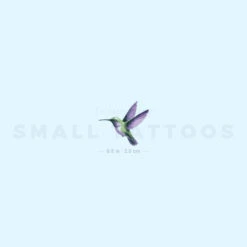 Watercolor Hummingbird Temporary Tattoo (Set Of 3) -Da Vinci Shop image2 st 750px ae8e3d62 e89e 4826 93e5 60906c89216b