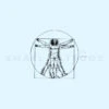Vitruvian Man Temporary Tattoo - Set Of 3 -Da Vinci Shop image2 st 750px f4f4a40b 863f 4cb3 9a91 dc399dd2c766
