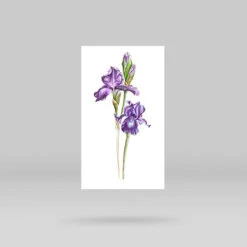 Iris Temporary Tattoo By Mini Lau (Set Of 3) 13 Iris Temporary Tattoo By Mini Lau (Set Of 3) -Da Vinci Shop iris temporary tattoo 08dbbac3 b362 4cb6 bc55 223ed4dfe363