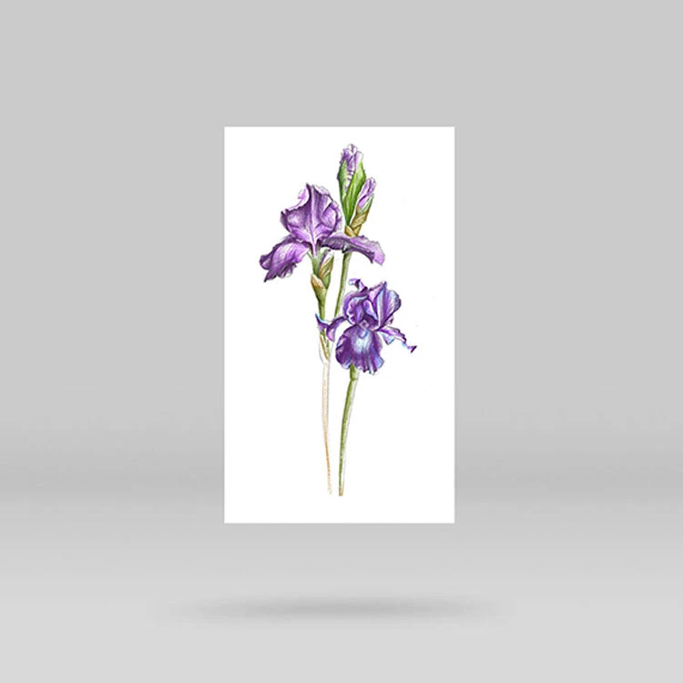 Iris Temporary Tattoo By Mini Lau (Set Of 3) 8 Iris Temporary Tattoo By Mini Lau (Set Of 3) - Image 6