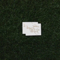 Without Struggle There Is No Progress Gold Temporary Tattoo (Set Of 3) -Da Vinci Shop met progress grass