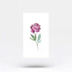 Pink Peony Temporary Tattoo By Lena Fedchenko (Set Of 3) -Da Vinci Shop peony temporary tattoo 92866455 4903 4738 8f1a 364c78732e47