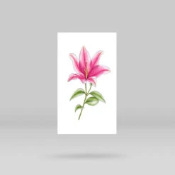 Lily Temporary Tattoo By Mini Lau (Set Of 3) -Da Vinci Shop pink lily temporary tattoo