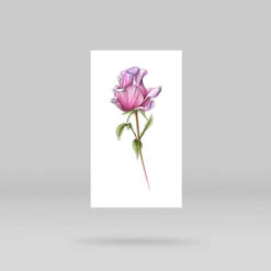 Purple Rose Temporary Tattoo By Mini Lau (Set Of 3) -Da Vinci Shop pink rose temporary tattoo mini lau 8785dac4 c1a1 4c88 b5ee 46f3bc7cbe94