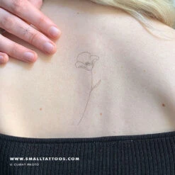 Poppy By Jakenowicz Temporary Tattoo - Set Of 3 15 Poppy By Jakenowicz Temporary Tattoo - Set Of 3 -Da Vinci Shop poppy jakenowicz customer photo