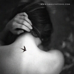Swallow Temporary Tattoo (Set Of 3)